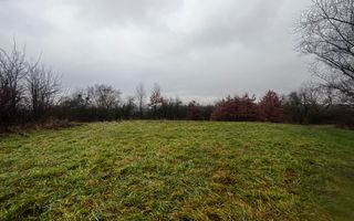 Teren intravilan | 30 ari | front stradal 50 m | investitie ideala | Mocira. - Poză 1