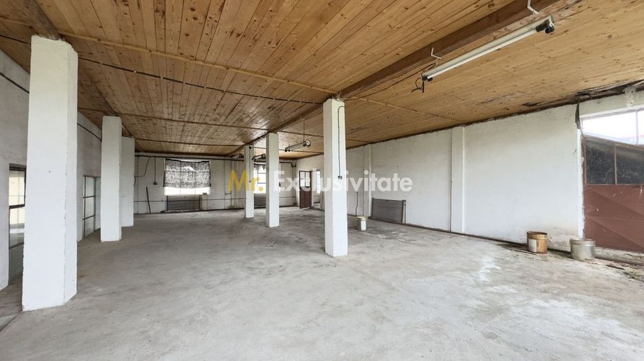 Clădire Industrială Hală Producție, Depozitare, Birouri-Teren 3140 mp - Carei - Poză 9