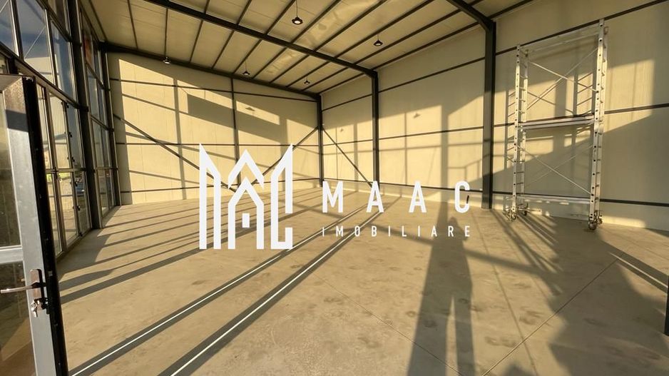 Hala | 250 MP |  Teren 3900 MP | - Poză 8