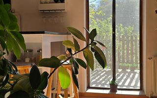 Casă spațioasă cu 6 camere în Triaj preț ajustat - COMISION 0%🌿🏡 - Poză 7