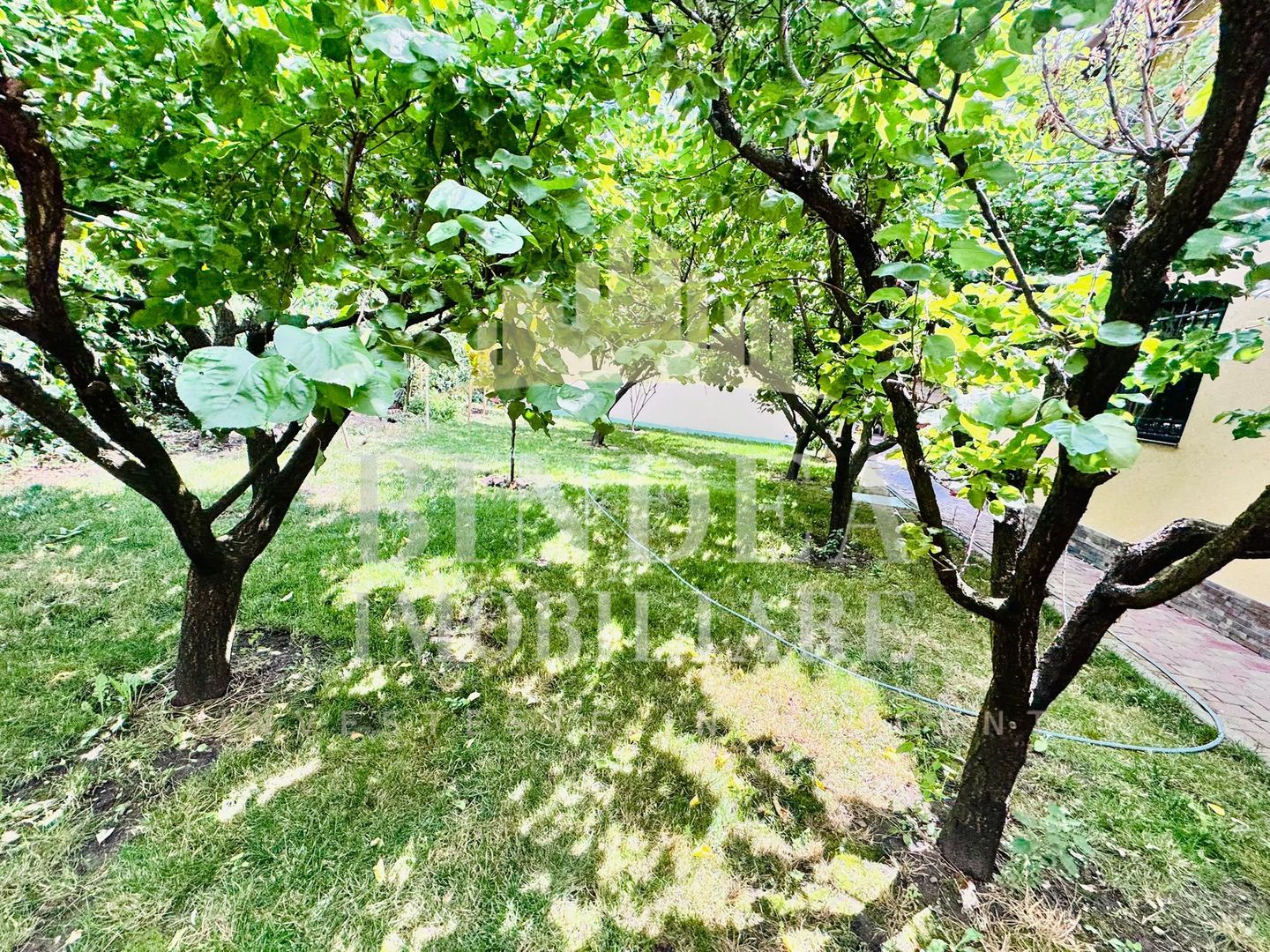 Proprietate individuala premium la intrare in Pischia - Poză 15