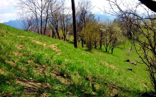 teren intravilan in zona Magura Bran - Poză 22