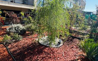 Metrou Berceni -Biruintei-Popesti Leordeni 2 camere-curte - Poză 1