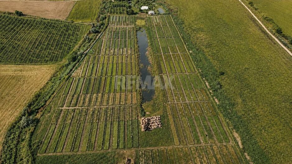 Teren agricol de vânzare – 6,8 hectare cu lac propriu și casă, Nisporeni - Poză 1