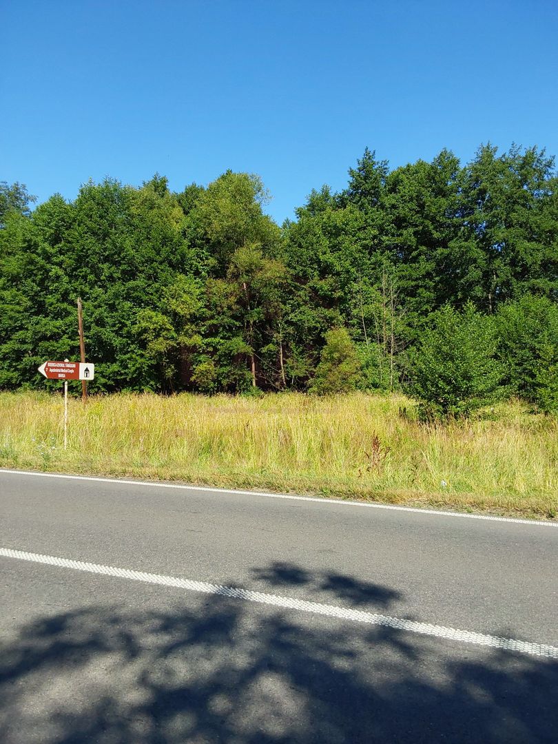 TEREN INTRAVILAN ÎN MARGA-LA DN68 JUD.CARAȘ-SEVERIN - Poză 1