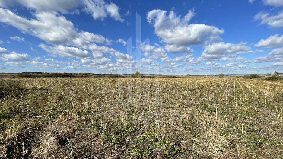 De vânzare teren intravilan – Cristian, Sibiu - Poză 1