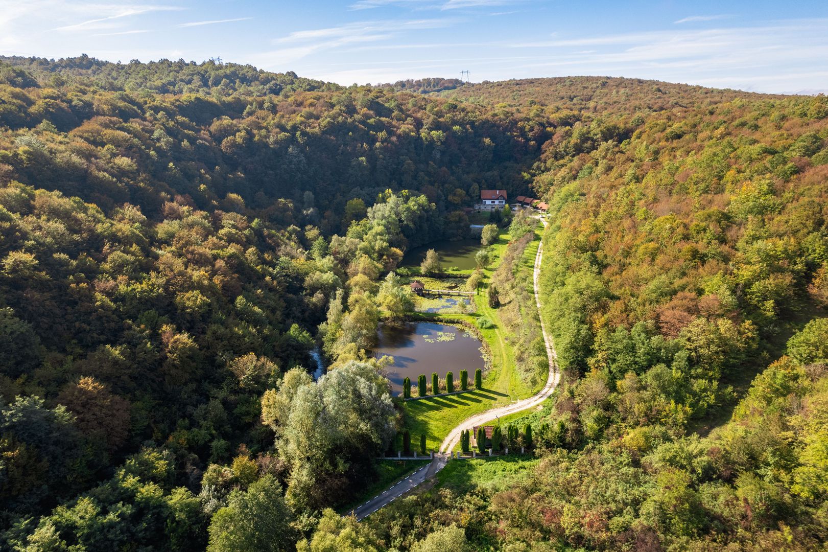 Domeniu în satul Căprioara - Poză 18