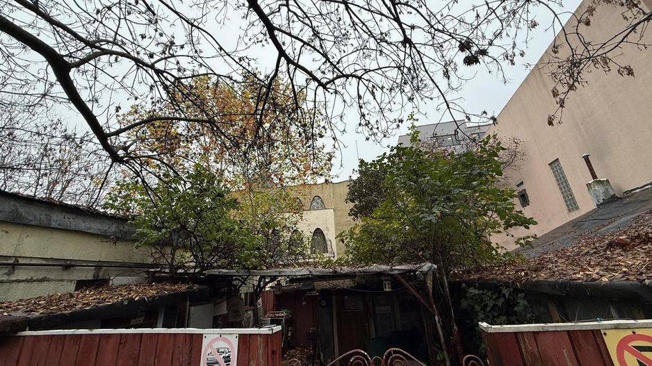 Teren Herastrau - Poză 2