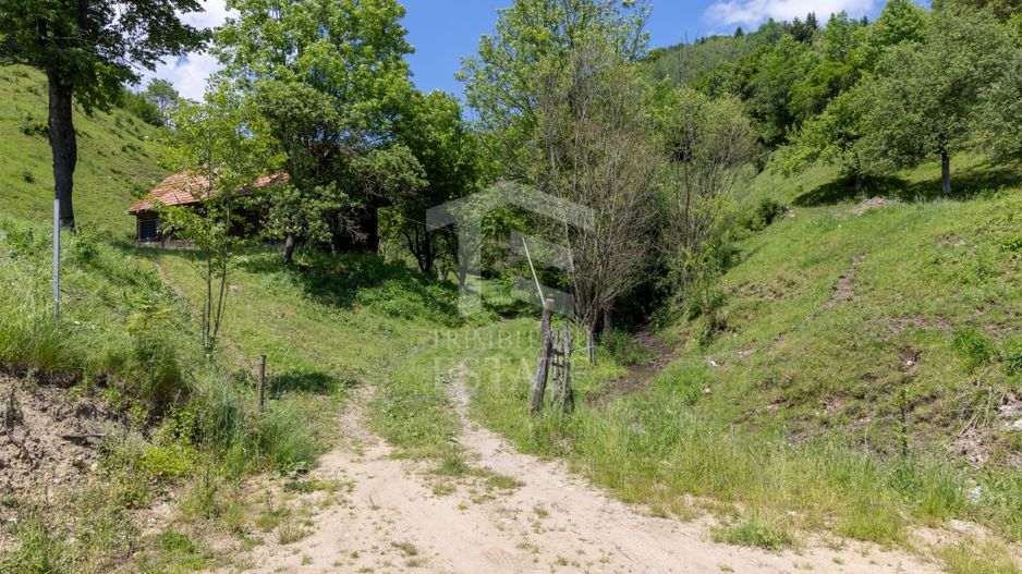Moieciu de Jos |Teren 11.381 mp | Panoramă, potențial turistic - Poză 6