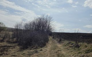 Teren de vanzare Pata Cluj - Poză 3