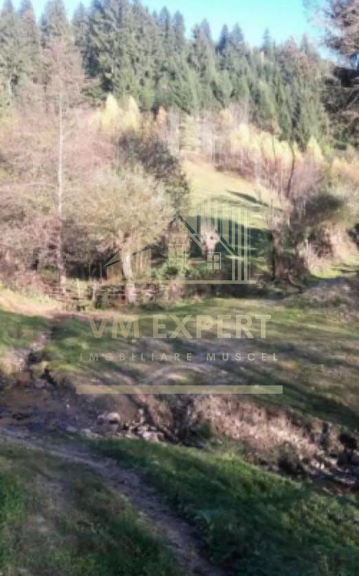 TEREN INTRAVILAN 4195 MP, LERESTI, ARGES - Poză 2