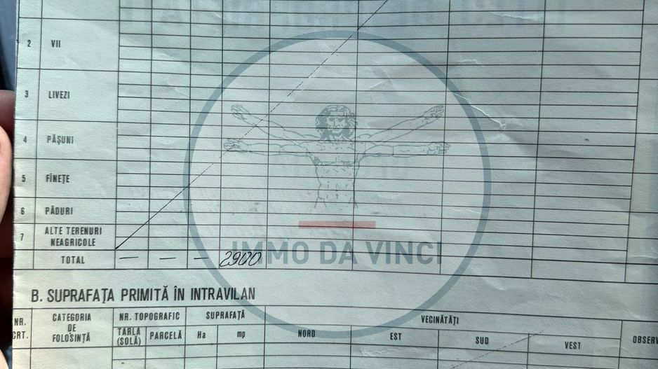 Vanzare teren itravilan Sanmartin,com. Chinteni CJ - Poză 8