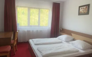 Pensiune superbă de închiriat in Predeal - Poză 20