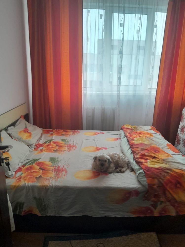 Vânzare Apartament 4 Camere – 63 mp, Etaj 10/10, Bloc 1972 – Drumul Taberei - Poză 2