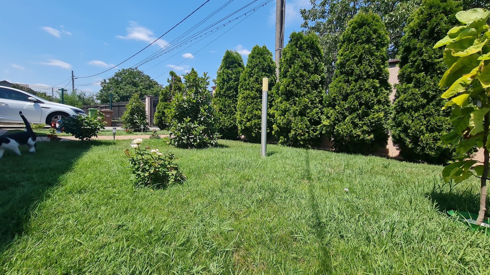 Vila impozanta in zona linistita la 15 minute de capitala! - Poză 7