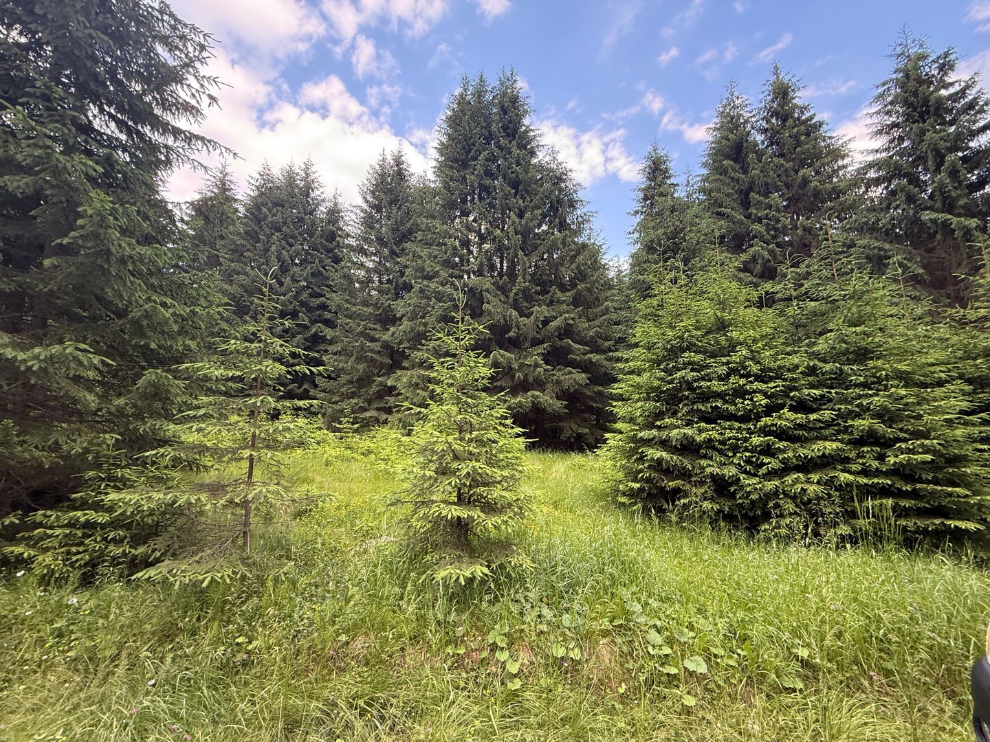 Teren intravilan de vânzare-COMANDAU /COVASNA-2500mp - Poză 4