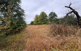 Casă + Teren 1556 mp | Zona Centrală | Front 16 m | 119.000 € - Poză 5