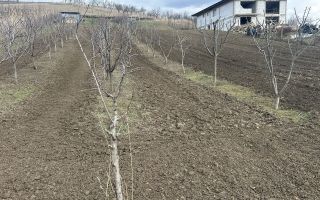 Teren intravilan 1724mp - Poză 1