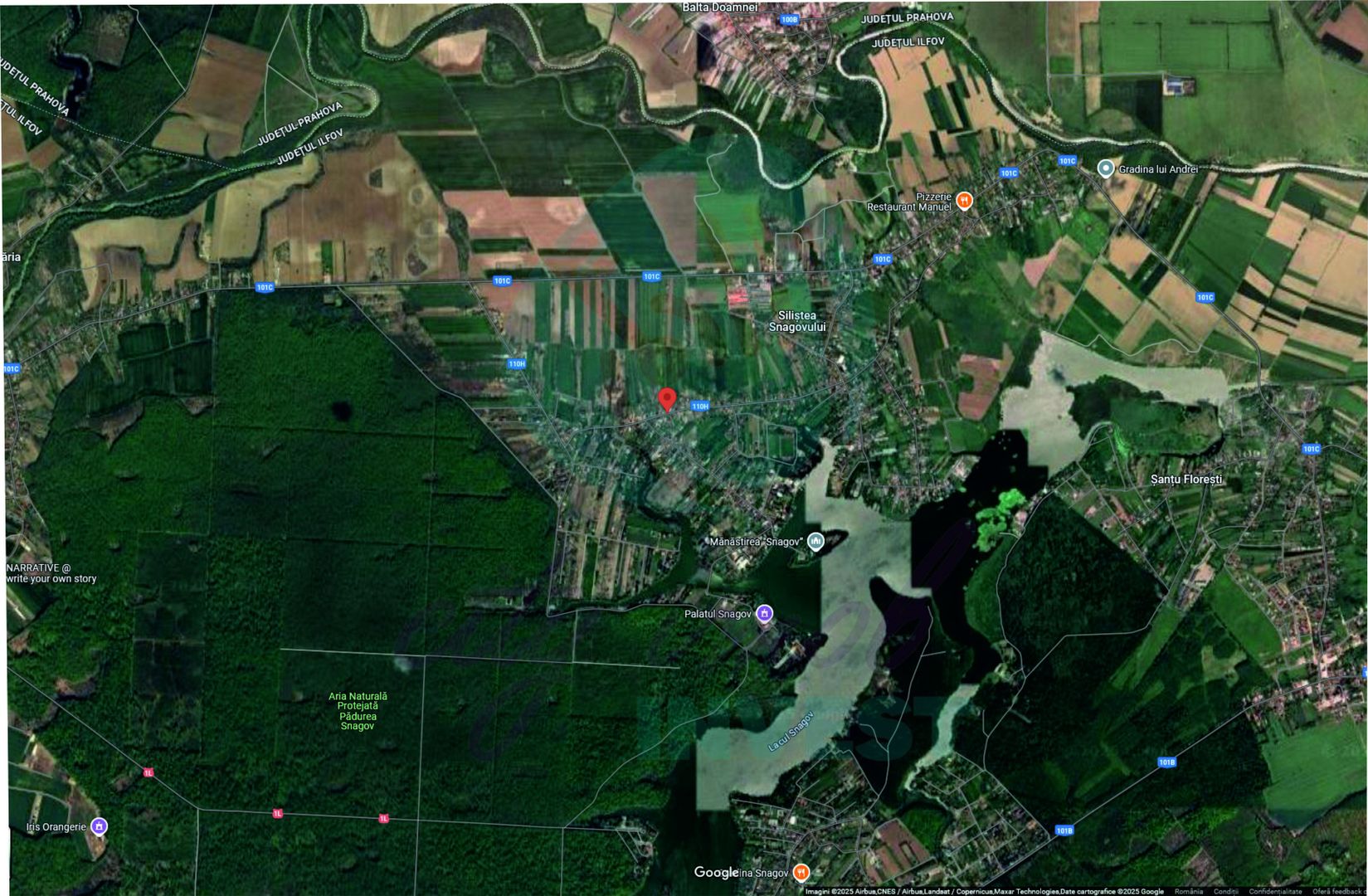 Teren 16534 mp pentru dezvoltare rezidențială, Siliștea Snagovului - Poză 4