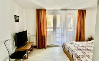 Pensiune de vânzare I Transfăgărășan, Cărțișoara, jud. Sibiu - Poză 5