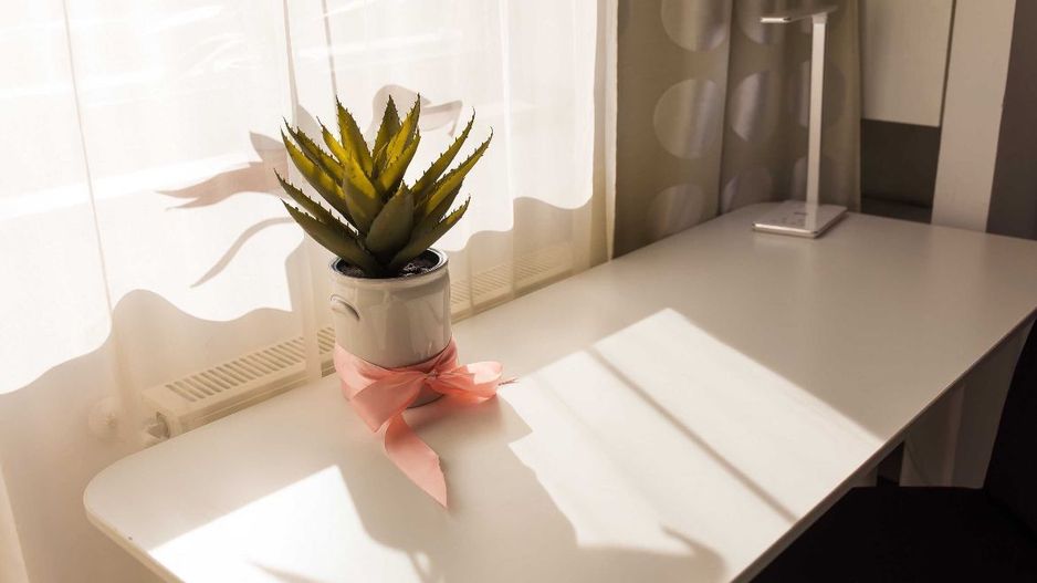 AP. 2 CAMERE NORTHLANE, DOG-FRIENDLY, BLOC NOU, MASINA SPALAT VASE - Poză 5