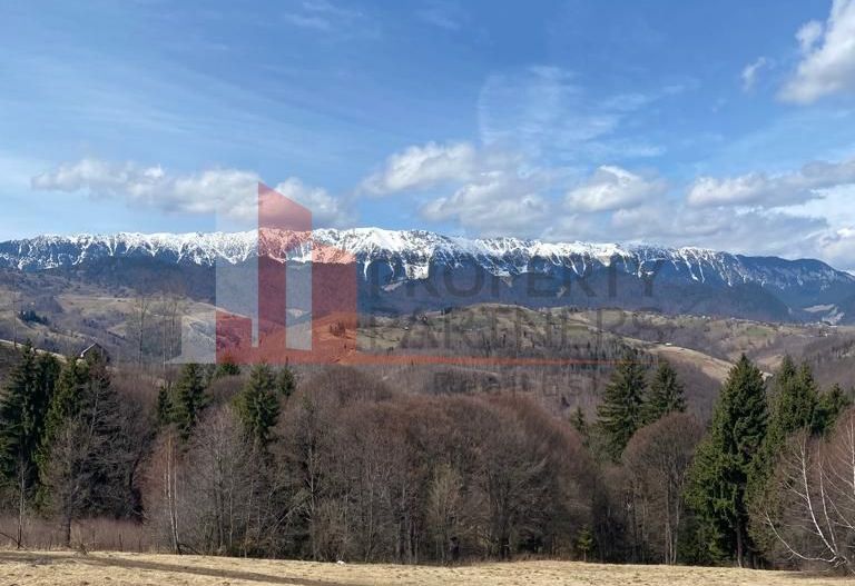 Teren Drumul Carului Moieciu - Poză 4