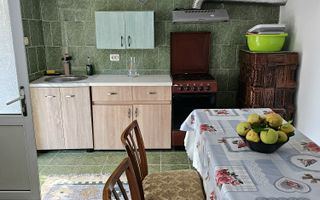 Casă tradițională cu anexe și teren 1.100 mp – VASLUI - MUNTENII DE JOS; - Poză 6
