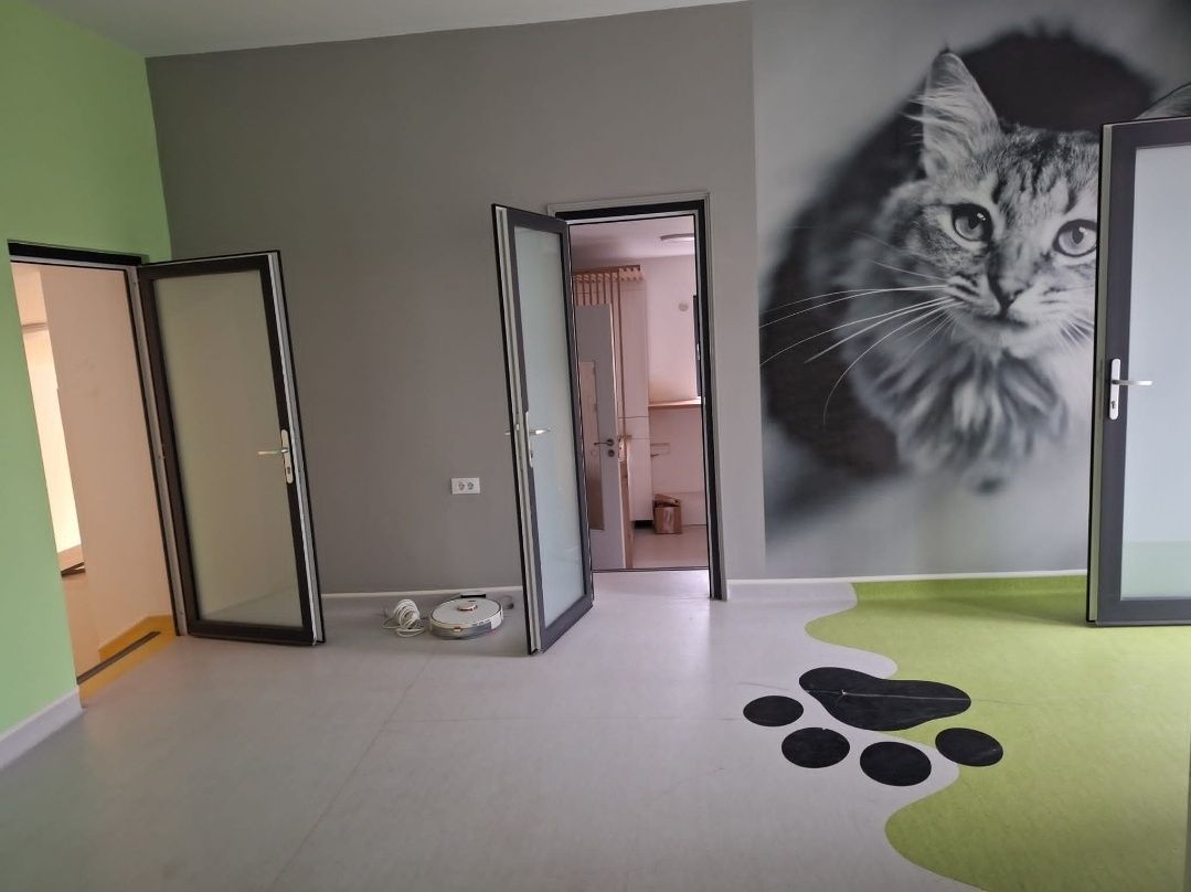 Casa de vanzare Sararie - Copou - Poză 5