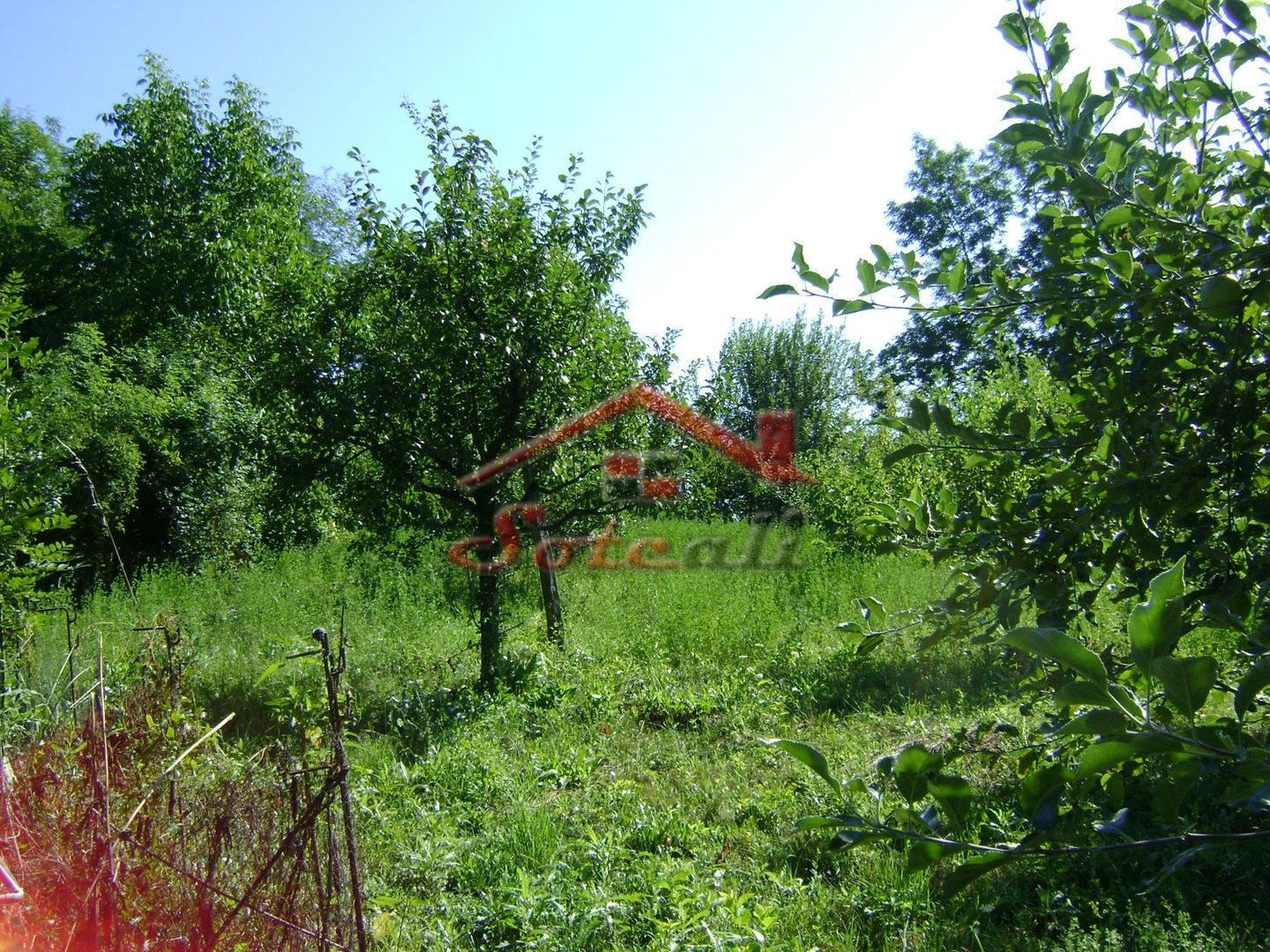 Teren de vânzare în Breaza– zonă liniștită, ideal pentru relaxare - Poză 10