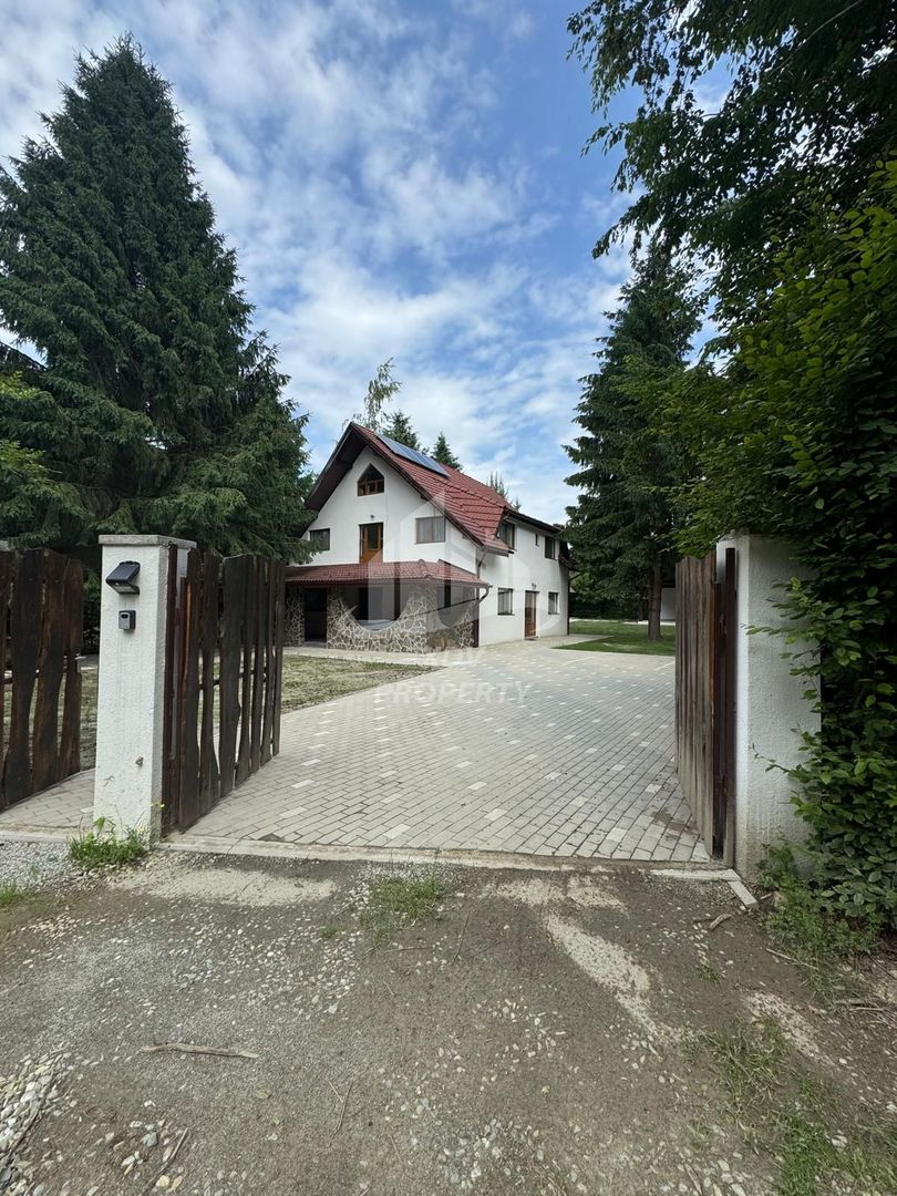 Pensiune/ Vila Valea Avrigului - Poză 6