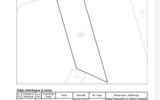 Teren de vânzare | Sibiu, Sud-Est | 11.500 mp extravilan - Poză 3