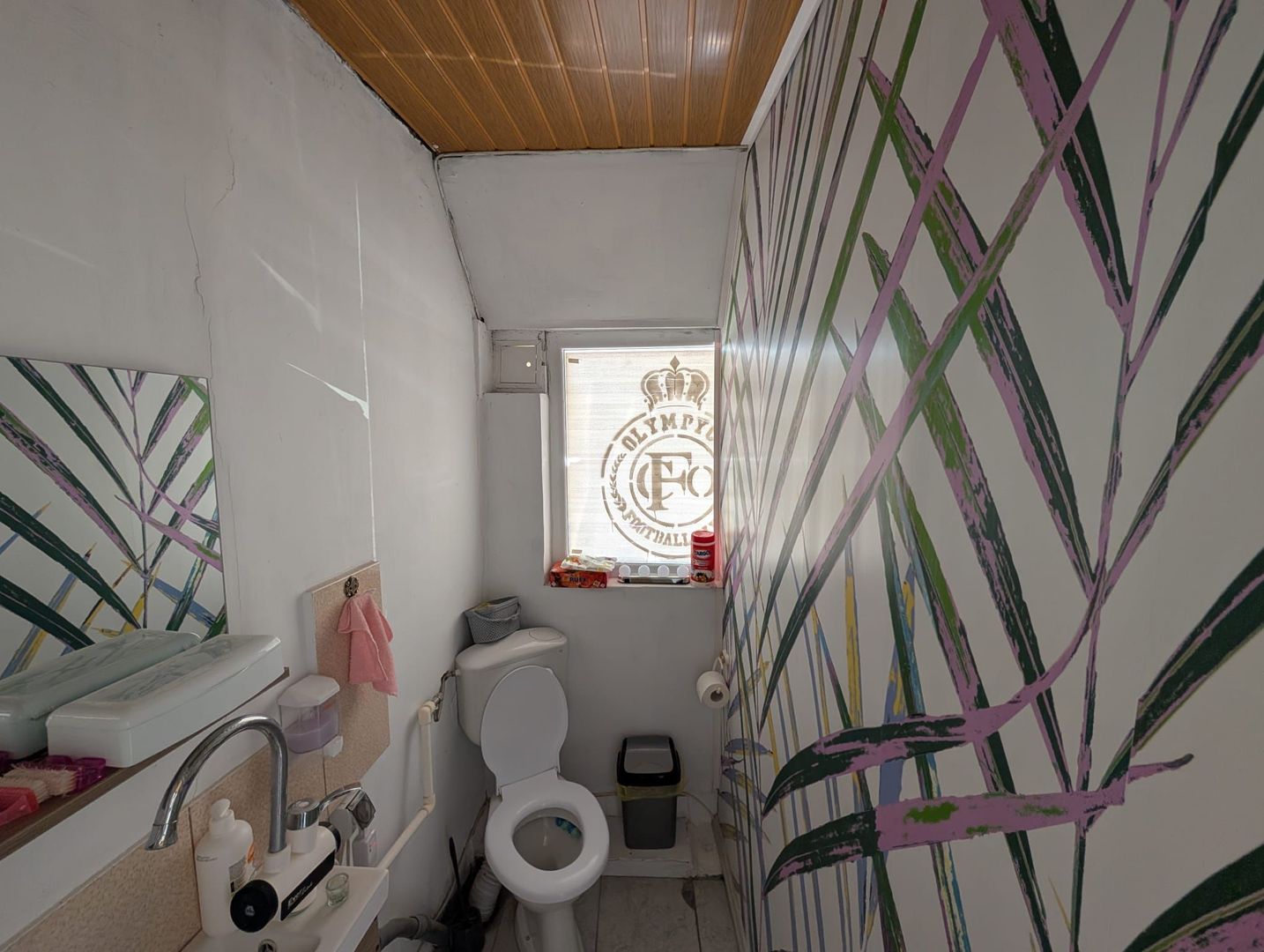 Vanzare Casa Dragomirești-Vale, Ilfov - Curte Mare, Oportunitate - Poză 11