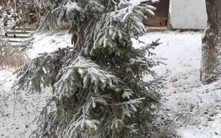 Teren de vanzare Adâncata - Poză 10