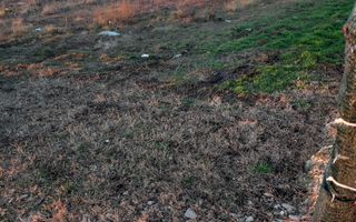 Ag BRASADAS vinde 500mp teren intravilan la SOSEA in Ganeasa - Poză 3