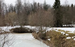 Teren extravilan | Horodnic De Sus | 3600MP - Poză 11