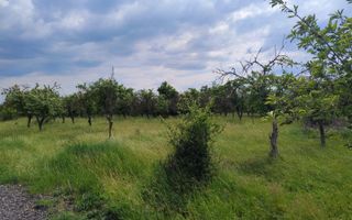 teren intravilan in sag 1271 mp - Poză 4