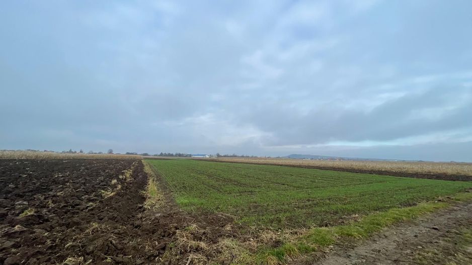 TEREN EXTRAVILAN 13 ARI | FRONT STRADAL 13 M | MARGINEA - Poză 1