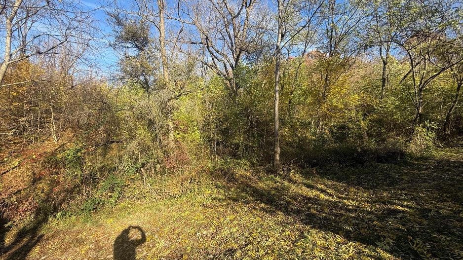 Teren langa pădure 6400mp+casa demolabila-deschidere 35 ml - Poză 15