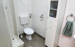 Spatiu industrial productie/ depozitare, Timiș - Poză 25