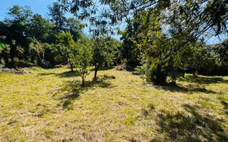 TEREN INTRAVILAN 3234 MP LEREȘTI VOINEȘTI ARGEȘ - Poză 22