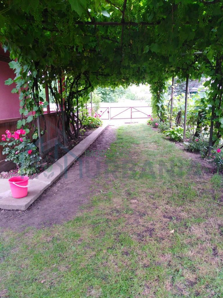 Casă cu 3 camere și teren 2100 mp, Trifești, județul Iași - Poză 4