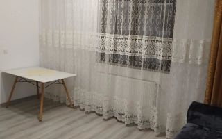 Apartament 2 camere de închiriat în Lunca Cetatuii, cartierul Tineretului, Iași - 340 euro - Poză 4