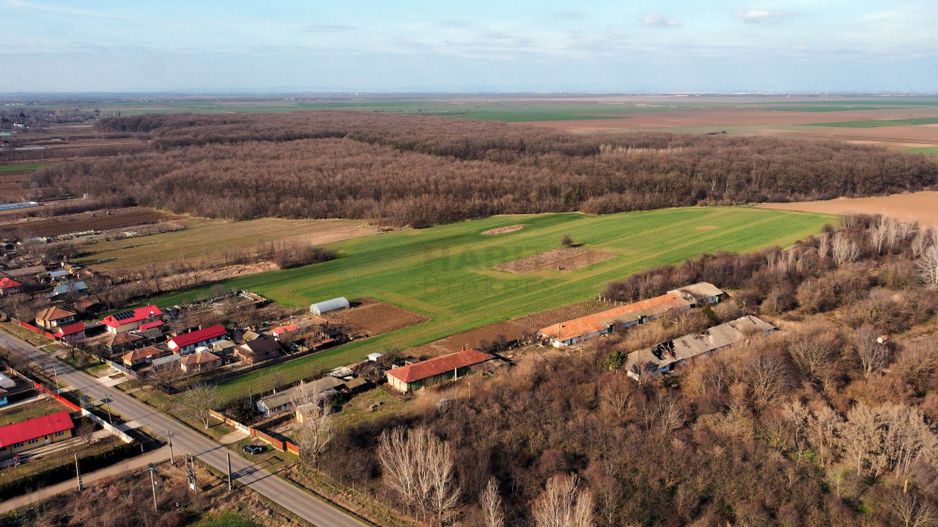 Ferma si livada de meri in judetul Ilfov - Poză 7