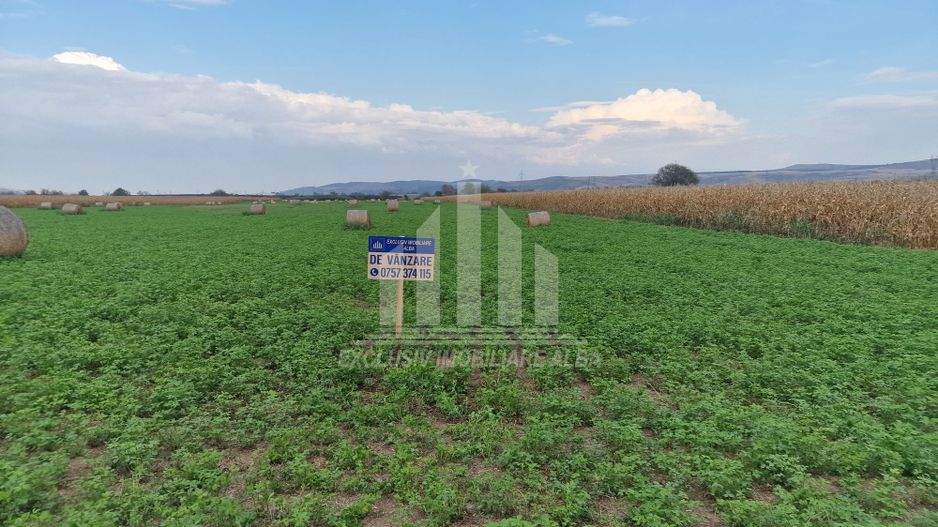 20 de parcele pentru constructii langa soseaua de centura - Poză 1