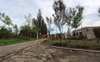 Vanzare hale Mosnita Noua-fosta Ferma 7 - Poză 44
