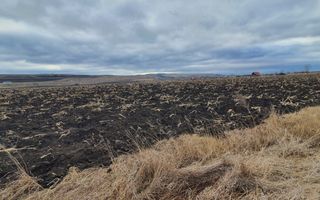 Vand teren extravilan - Poză 3