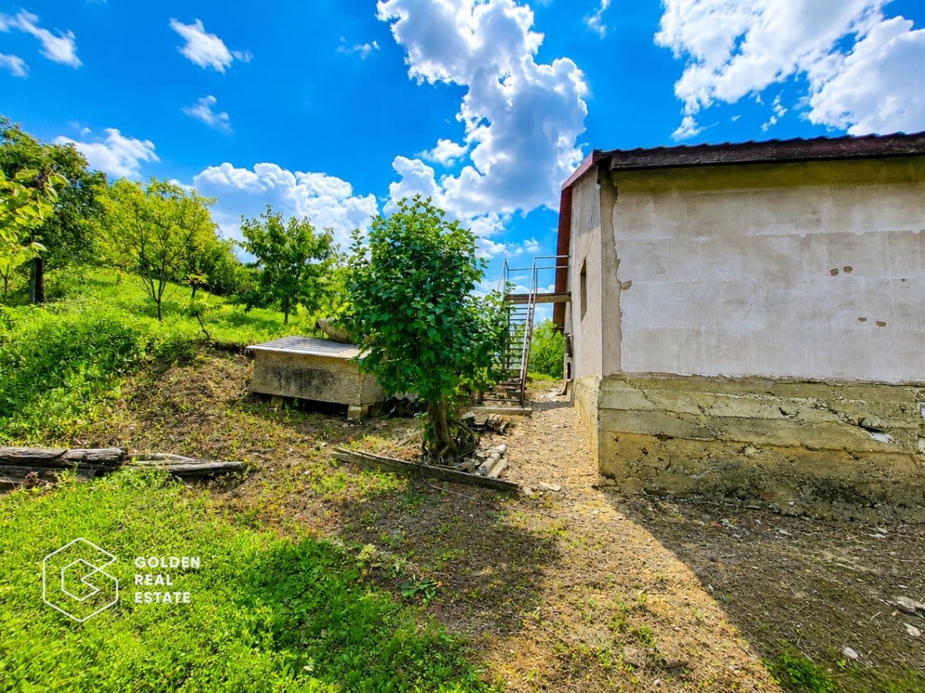 Casa P+M, teren 1440 mp, oras Lipova - Poză 5