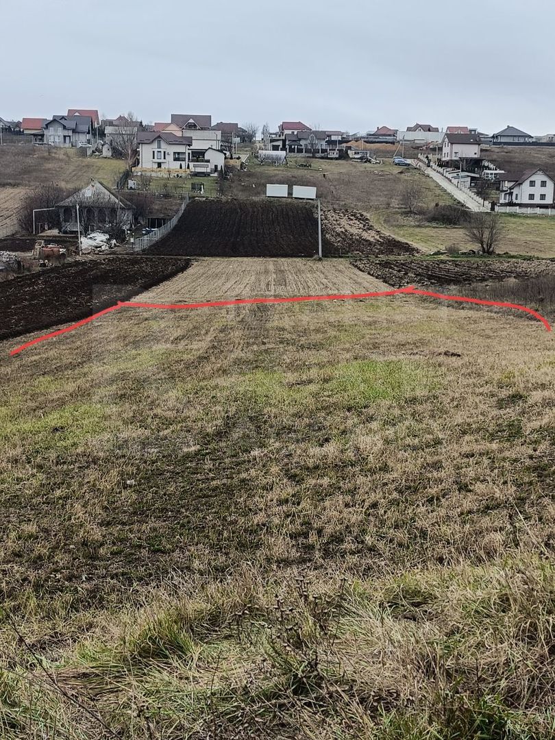 Vânzare, teren, 15,5 ari, strada Pavel Bechet, com. Băcioi - Poză 6