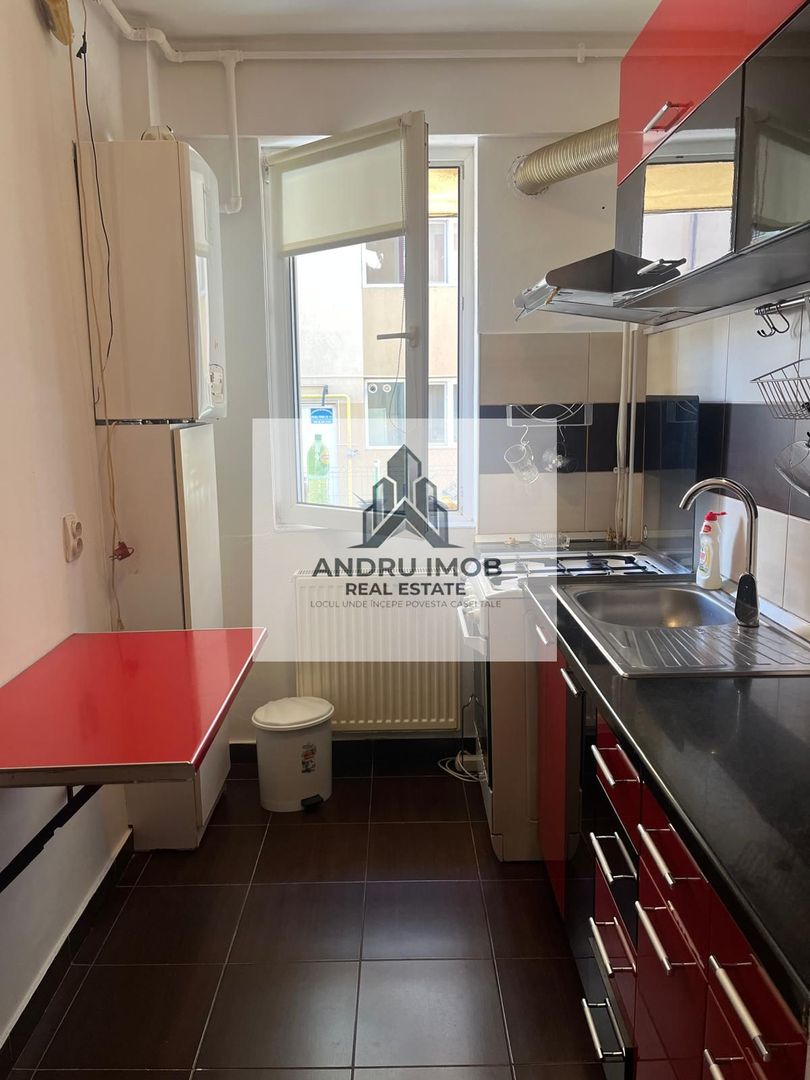 Apartament 2 camere/ Parc Laurentiu Raiciu/ Drumul Fermei - Poză 9