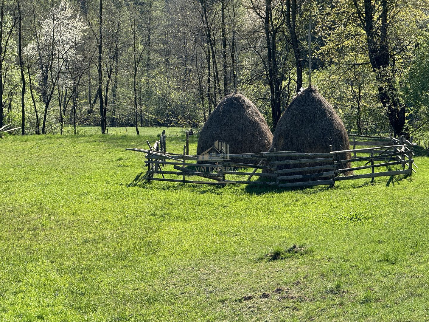 TEREN INTRAVILAN 2592 MP,  ALBESTI DE MUSCEL, ARGES - Poză 8